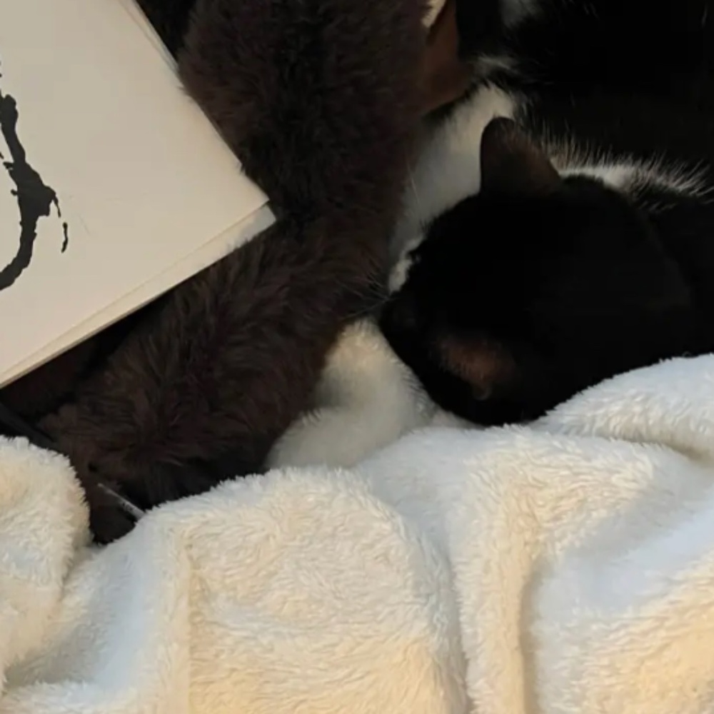 Meet your Posher, Madeline